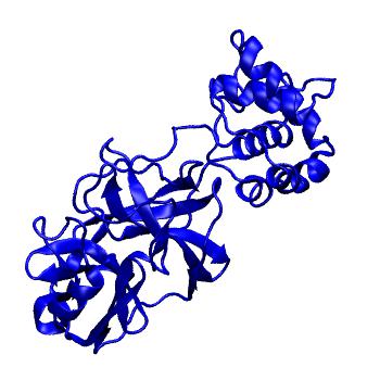 Structure preview of Folding@home molecular dynamics simulations of Diamond Light Source / XChem X-ray structures of small molecule inhibitors of the SARS-CoV-2 main protease from the COVID Moonshot; project 13432, run 351