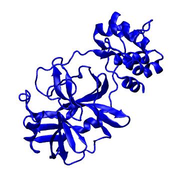 Structure preview of Folding@home molecular dynamics simulations of Diamond Light Source / XChem X-ray structures of small molecule inhibitors of the SARS-CoV-2 main protease from the COVID Moonshot; project 13432, run 353