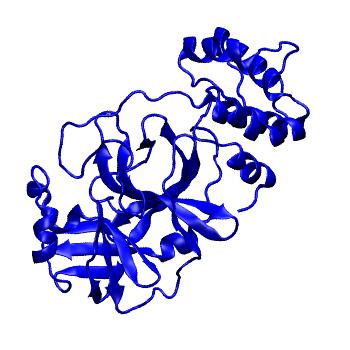 Structure preview of Folding@home molecular dynamics simulations of Diamond Light Source / XChem X-ray structures of small molecule inhibitors of the SARS-CoV-2 main protease from the COVID Moonshot; project 13432, run 35