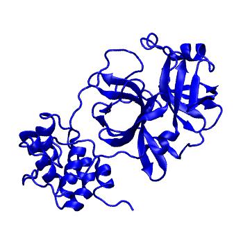 Structure preview of Folding@home molecular dynamics simulations of Diamond Light Source / XChem X-ray structures of small molecule inhibitors of the SARS-CoV-2 main protease from the COVID Moonshot; project 13432, run 36