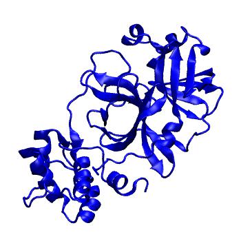 Structure preview of Folding@home molecular dynamics simulations of Diamond Light Source / XChem X-ray structures of small molecule inhibitors of the SARS-CoV-2 main protease from the COVID Moonshot; project 13432, run 39