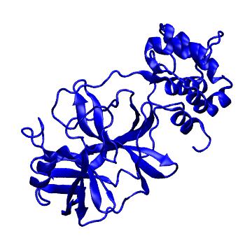 Structure preview of Folding@home molecular dynamics simulations of Diamond Light Source / XChem X-ray structures of small molecule inhibitors of the SARS-CoV-2 main protease from the COVID Moonshot; project 13432, run 40