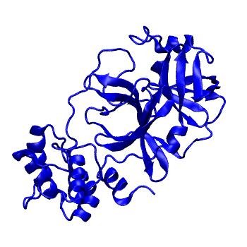 Structure preview of Folding@home molecular dynamics simulations of Diamond Light Source / XChem X-ray structures of small molecule inhibitors of the SARS-CoV-2 main protease from the COVID Moonshot; project 13432, run 42