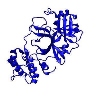 Structure preview of Folding@home molecular dynamics simulations of Diamond Light Source / XChem X-ray structures of small molecule inhibitors of the SARS-CoV-2 main protease from the COVID Moonshot; project 13432, run 45