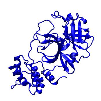Structure preview of Folding@home molecular dynamics simulations of Diamond Light Source / XChem X-ray structures of small molecule inhibitors of the SARS-CoV-2 main protease from the COVID Moonshot; project 13432, run 48