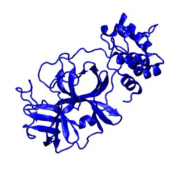 Structure preview of Folding@home molecular dynamics simulations of Diamond Light Source / XChem X-ray structures of small molecule inhibitors of the SARS-CoV-2 main protease from the COVID Moonshot; project 13432, run 49