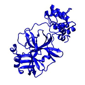 Structure preview of Folding@home molecular dynamics simulations of Diamond Light Source / XChem X-ray structures of small molecule inhibitors of the SARS-CoV-2 main protease from the COVID Moonshot; project 13432, run 50