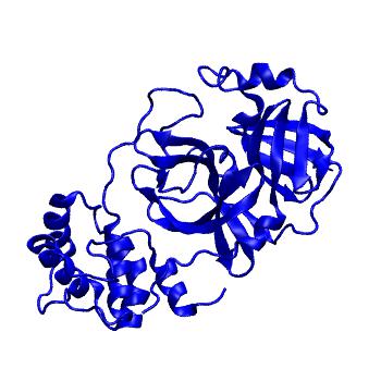 Structure preview of Folding@home molecular dynamics simulations of Diamond Light Source / XChem X-ray structures of small molecule inhibitors of the SARS-CoV-2 main protease from the COVID Moonshot; project 13432, run 55