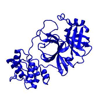 Structure preview of Folding@home molecular dynamics simulations of Diamond Light Source / XChem X-ray structures of small molecule inhibitors of the SARS-CoV-2 main protease from the COVID Moonshot; project 13432, run 58
