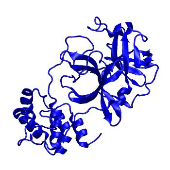 Structure preview of Folding@home molecular dynamics simulations of Diamond Light Source / XChem X-ray structures of small molecule inhibitors of the SARS-CoV-2 main protease from the COVID Moonshot; project 13432, run 59