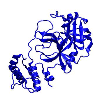 Structure preview of Folding@home molecular dynamics simulations of Diamond Light Source / XChem X-ray structures of small molecule inhibitors of the SARS-CoV-2 main protease from the COVID Moonshot; project 13432, run 5