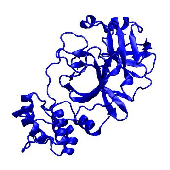 Structure preview of Folding@home molecular dynamics simulations of Diamond Light Source / XChem X-ray structures of small molecule inhibitors of the SARS-CoV-2 main protease from the COVID Moonshot; project 13432, run 60