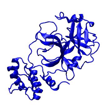 Structure preview of Folding@home molecular dynamics simulations of Diamond Light Source / XChem X-ray structures of small molecule inhibitors of the SARS-CoV-2 main protease from the COVID Moonshot; project 13432, run 62