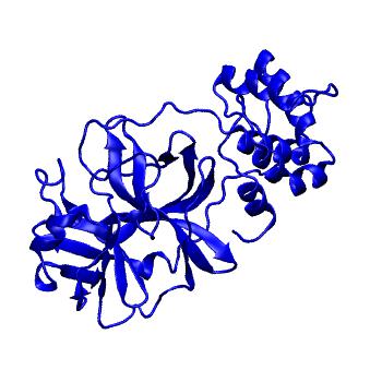 Structure preview of Folding@home molecular dynamics simulations of Diamond Light Source / XChem X-ray structures of small molecule inhibitors of the SARS-CoV-2 main protease from the COVID Moonshot; project 13432, run 65