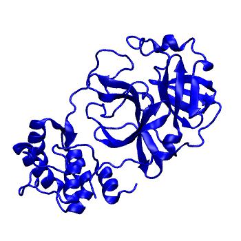 Structure preview of Folding@home molecular dynamics simulations of Diamond Light Source / XChem X-ray structures of small molecule inhibitors of the SARS-CoV-2 main protease from the COVID Moonshot; project 13432, run 67