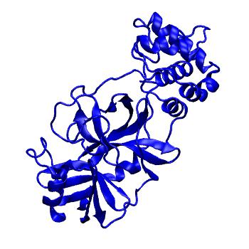 Structure preview of Folding@home molecular dynamics simulations of Diamond Light Source / XChem X-ray structures of small molecule inhibitors of the SARS-CoV-2 main protease from the COVID Moonshot; project 13432, run 69