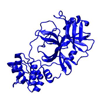 Structure preview of Folding@home molecular dynamics simulations of Diamond Light Source / XChem X-ray structures of small molecule inhibitors of the SARS-CoV-2 main protease from the COVID Moonshot; project 13432, run 70