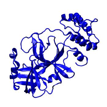 Structure preview of Folding@home molecular dynamics simulations of Diamond Light Source / XChem X-ray structures of small molecule inhibitors of the SARS-CoV-2 main protease from the COVID Moonshot; project 13432, run 71