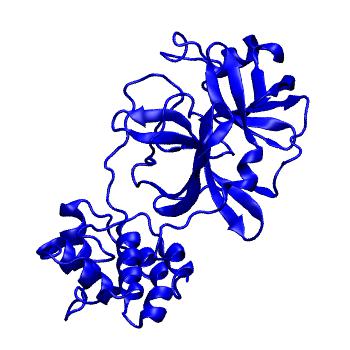 Structure preview of Folding@home molecular dynamics simulations of Diamond Light Source / XChem X-ray structures of small molecule inhibitors of the SARS-CoV-2 main protease from the COVID Moonshot; project 13432, run 72