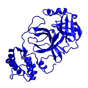 Structure preview of Folding@home molecular dynamics simulations of Diamond Light Source / XChem X-ray structures of small molecule inhibitors of the SARS-CoV-2 main protease from the COVID Moonshot; project 13432, run 73