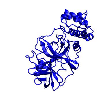 Structure preview of Folding@home molecular dynamics simulations of Diamond Light Source / XChem X-ray structures of small molecule inhibitors of the SARS-CoV-2 main protease from the COVID Moonshot; project 13432, run 74