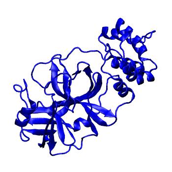Structure preview of Folding@home molecular dynamics simulations of Diamond Light Source / XChem X-ray structures of small molecule inhibitors of the SARS-CoV-2 main protease from the COVID Moonshot; project 13432, run 75