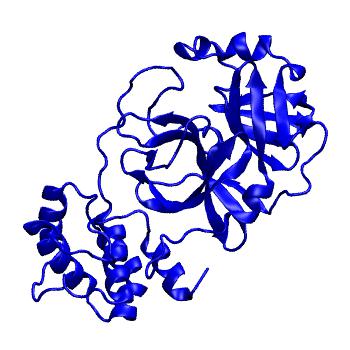 Structure preview of Folding@home molecular dynamics simulations of Diamond Light Source / XChem X-ray structures of small molecule inhibitors of the SARS-CoV-2 main protease from the COVID Moonshot; project 13432, run 77