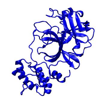 Structure preview of Folding@home molecular dynamics simulations of Diamond Light Source / XChem X-ray structures of small molecule inhibitors of the SARS-CoV-2 main protease from the COVID Moonshot; project 13432, run 79