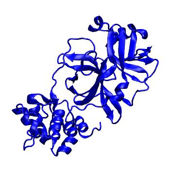 Structure preview of Folding@home molecular dynamics simulations of Diamond Light Source / XChem X-ray structures of small molecule inhibitors of the SARS-CoV-2 main protease from the COVID Moonshot; project 13432, run 81