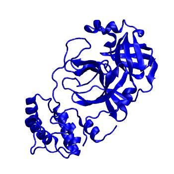 Structure preview of Folding@home molecular dynamics simulations of Diamond Light Source / XChem X-ray structures of small molecule inhibitors of the SARS-CoV-2 main protease from the COVID Moonshot; project 13432, run 85