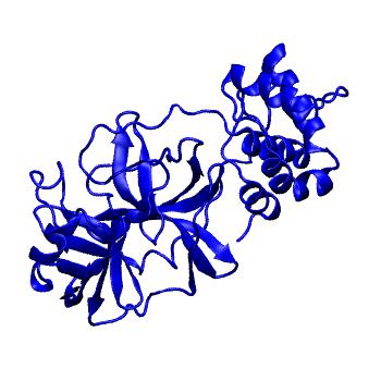 Structure preview of Folding@home molecular dynamics simulations of Diamond Light Source / XChem X-ray structures of small molecule inhibitors of the SARS-CoV-2 main protease from the COVID Moonshot; project 13432, run 87