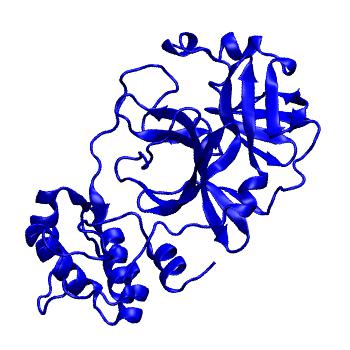 Structure preview of Folding@home molecular dynamics simulations of Diamond Light Source / XChem X-ray structures of small molecule inhibitors of the SARS-CoV-2 main protease from the COVID Moonshot; project 13432, run 8