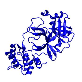 Structure preview of Folding@home molecular dynamics simulations of Diamond Light Source / XChem X-ray structures of small molecule inhibitors of the SARS-CoV-2 main protease from the COVID Moonshot; project 13432, run 91