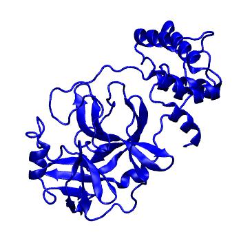 Structure preview of Folding@home molecular dynamics simulations of Diamond Light Source / XChem X-ray structures of small molecule inhibitors of the SARS-CoV-2 main protease from the COVID Moonshot; project 13432, run 93
