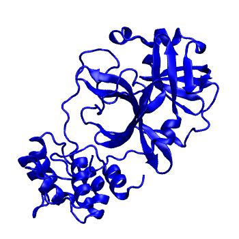 Structure preview of Folding@home molecular dynamics simulations of Diamond Light Source / XChem X-ray structures of small molecule inhibitors of the SARS-CoV-2 main protease from the COVID Moonshot; project 13432, run 94