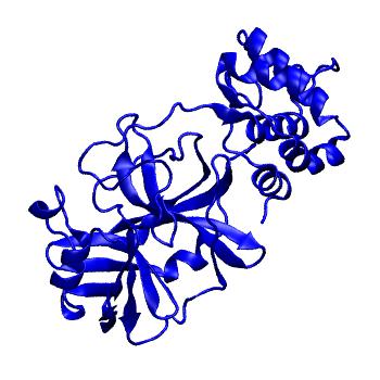 Structure preview of Folding@home molecular dynamics simulations of Diamond Light Source / XChem X-ray structures of small molecule inhibitors of the SARS-CoV-2 main protease from the COVID Moonshot; project 13432, run 95