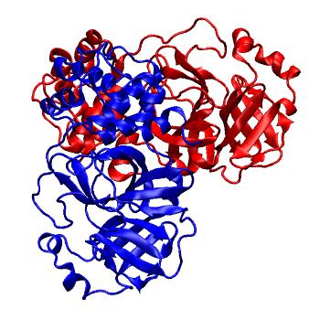 Structure preview of Folding@home molecular dynamics simulations of Diamond Light Source / XChem X-ray structures of small molecule inhibitors of the SARS-CoV-2 main protease from the COVID Moonshot; project 13436, run 0