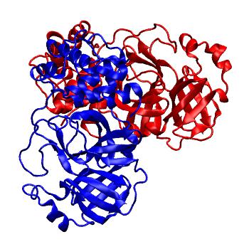 Structure preview of Folding@home molecular dynamics simulations of Diamond Light Source / XChem X-ray structures of small molecule inhibitors of the SARS-CoV-2 main protease from the COVID Moonshot; project 13436, run 100
