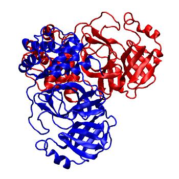 Structure preview of Folding@home molecular dynamics simulations of Diamond Light Source / XChem X-ray structures of small molecule inhibitors of the SARS-CoV-2 main protease from the COVID Moonshot; project 13436, run 102
