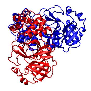 Structure preview of Folding@home molecular dynamics simulations of Diamond Light Source / XChem X-ray structures of small molecule inhibitors of the SARS-CoV-2 main protease from the COVID Moonshot; project 13436, run 104