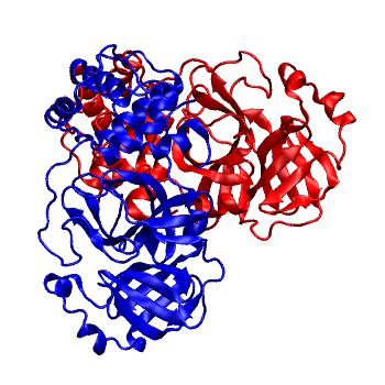 Structure preview of Folding@home molecular dynamics simulations of Diamond Light Source / XChem X-ray structures of small molecule inhibitors of the SARS-CoV-2 main protease from the COVID Moonshot; project 13436, run 105