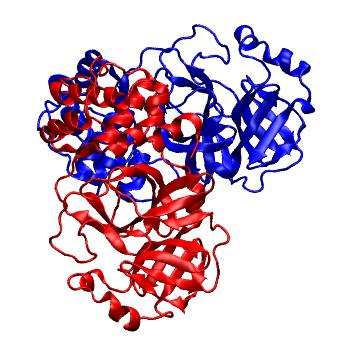 Structure preview of Folding@home molecular dynamics simulations of Diamond Light Source / XChem X-ray structures of small molecule inhibitors of the SARS-CoV-2 main protease from the COVID Moonshot; project 13436, run 106