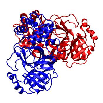 Structure preview of Folding@home molecular dynamics simulations of Diamond Light Source / XChem X-ray structures of small molecule inhibitors of the SARS-CoV-2 main protease from the COVID Moonshot; project 13436, run 109