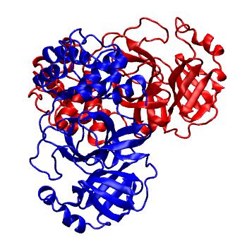 Structure preview of Folding@home molecular dynamics simulations of Diamond Light Source / XChem X-ray structures of small molecule inhibitors of the SARS-CoV-2 main protease from the COVID Moonshot; project 13436, run 10