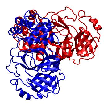 Structure preview of Folding@home molecular dynamics simulations of Diamond Light Source / XChem X-ray structures of small molecule inhibitors of the SARS-CoV-2 main protease from the COVID Moonshot; project 13436, run 111
