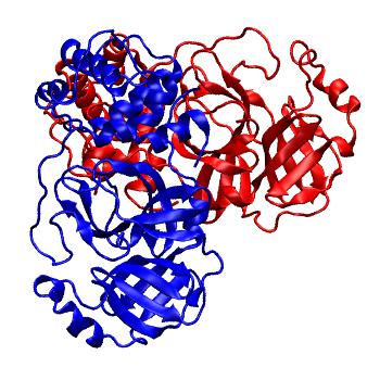 Structure preview of Folding@home molecular dynamics simulations of Diamond Light Source / XChem X-ray structures of small molecule inhibitors of the SARS-CoV-2 main protease from the COVID Moonshot; project 13436, run 112