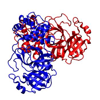 Structure preview of Folding@home molecular dynamics simulations of Diamond Light Source / XChem X-ray structures of small molecule inhibitors of the SARS-CoV-2 main protease from the COVID Moonshot; project 13436, run 114