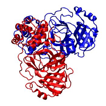 Structure preview of Folding@home molecular dynamics simulations of Diamond Light Source / XChem X-ray structures of small molecule inhibitors of the SARS-CoV-2 main protease from the COVID Moonshot; project 13436, run 115