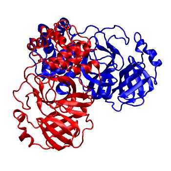 Structure preview of Folding@home molecular dynamics simulations of Diamond Light Source / XChem X-ray structures of small molecule inhibitors of the SARS-CoV-2 main protease from the COVID Moonshot; project 13436, run 116