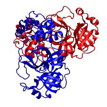 Structure preview of Folding@home molecular dynamics simulations of Diamond Light Source / XChem X-ray structures of small molecule inhibitors of the SARS-CoV-2 main protease from the COVID Moonshot; project 13436, run 117